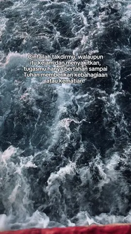 #CapCut 