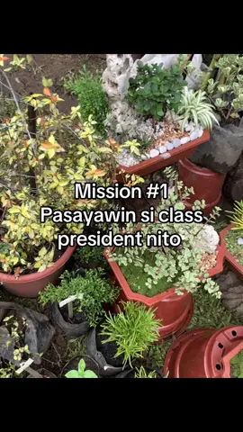 Tag mona yung class president nyo #relatable #class #president #dare #mission 