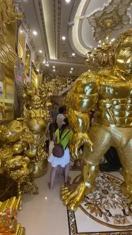 Nhà Dát Vàng cần thơ địa điểm lý lưởng để tham quan , chick in , sống ảo #nhadatvang 