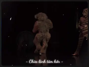 #chualanhtamhon16 #phattrienbanthan #thaydoibanthan #chualanh 