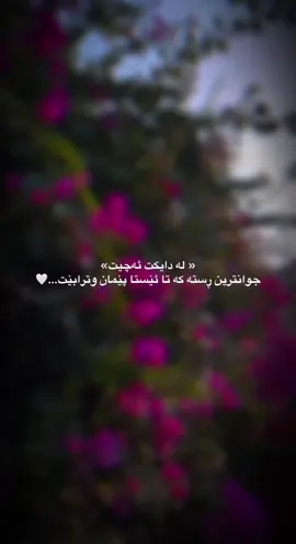 «دایک» جوانترین درووست کراوی خوودایە.♥️#وتةي_جوان📝 #فۆڵۆم_بکەن #ئەکتیڤبن🥀🖤ـہہـ٨ــہ #foryou 