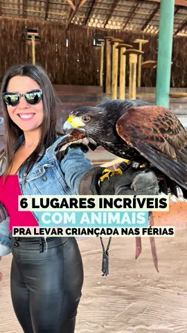🐮 Opções incríveis de passeios com animais pertinho de SP🐐🐾 📍 Cotia/SP: 🌿 Fazendinha Cia dos Bichos 👨‍🌾 Há 26 anos conectando famílias à natureza 🎉 Passeios em família | Escolas | Aniversários 📲 (11) 93427-1398 📌 Estrada do Capuava, 2990 – Cotia/SP 💰R$90 🐔 Mini Fazenda Pet Zoo 🦙 Contato direto com os animais! 📍 Estrada da Escola Agrícola, 165 – Cotia/SP 🎟️R$85 🦁 Animalia Park 🎢 Parque temático e de diversões 📍 Estrada do Furquim, 1490 (KM 39 da Raposo Tavares) – Cotia/SP 💰R$120 promoção de férias (fora da promoção R$150) 📍 São Roque/SP: 🇦🇴Fazenda Angolana  🐴 Fazendinha (Julho) 📅 Terça a domingo e feriados 🕘 Das 9h às 17h 📍 Estrada Turística da Angolana, 257 💰 R$20 por pessoa (a partir de 4 anos) 👵 Idosos (60+) pagam R$10 ♿ PcD tem entrada gratuita 🅿️ Estacionamento grátis 📍 São Paulo/SP: 🦌 ZOOFOZ 🌿 Viva a experiência ZooFoz 📍 Av. Morumbi – São Paulo 💰R$290 📍 Itatiba/SP: 🦜 Zooparque Itatiba 📍 Rodovia D. Pedro I, Km 95.5 – Paraíso das Aves 📧 zooparque@zooparque.com.br 📲 WhatsApp: (11) 97462-0251 💰R$120 #zoo #zoologico #animais #ferias #parque #fazendinha #fazenda 