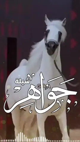 أفخم شيلة مدح عروس باسم جواهر حماسيه 2025  اسمك جواهر حماسيه 2025 #السعوديه🇸🇦#الكويت🇰🇼 #قطر_الدوحة🇶🇦 #البحرين🇧🇭 #الامارات#-للطلب_الشيلات_والزفات_التواصل_معنا_وتساب_من_داخل_المملك-شيلات_زفات_تخرجات_مواليد_عقد_قرآن_مولوده_مولود شيلات الخروج من_الاندين ظظة سجن_شيلات_خروج - بسلامه - شيلات -شفاءوسلامه_شيلات_تقاعد_تخرج_ملازم_تخرج_عسكري_تخرج_من_الدفاع_المدني_الكويت_قطر_السعوديةالامارات_البحرين_الكويت_الرياض_المدينه_ابها_شيلات_حماسيه_طرررب_شيلات_عرسان_شيلات_ام_العروس_شيلات_ام_العروسه_شيلات_خطوبه_زفات_بالاسماء_ز فات_بدون اسماء - كتابة كلمات_جديدة 0545069083 966من- خارج- المملكه-0545069083 #استديو_اللمسه-الماسيه_لتنفيذ_الشيلات_والزفات والقصائدالشعريه_لجميع_المناسبات_شيلات_مهنا_العتيبي_فهد_العلي_النايف_فواز_العنزي_شيلات_بنت_ابوها_شيلة_شامخه_بنت_ابوها_الرياض_جده_مها_شيلة_شامخه_بنت_ابوها_الرياض_جده_مكه_المكرمه_ابها_قطر_البحرين_الكويت_الامارات_شيلات_سعد_محسن_شيلات_ناصر_السيحاني_شيلات_عز_السعود_شيلات_قايد_الوبيري_2024_شيلات_فلاح_المسردي_شيلات_الجف راني شيلات البندر_بن_عوير_فهد_بن_فصلا_محمد_بن_غرمان_جديد_كتابة_كلمات_جديدة_0545069083_من_خارج_المملكه0545069083_استديو_الزينه#للطلب_الشيلات_التواصل_معنا_وتساب_من_داخل_المملك_شيلات_زفات_تخرجات_موال-بسلامه-شيلات-شفاء_وسلامه_شيلات_تقاعد_تخرج_ملازم_تخرج_عسكري_تخرج_من_الدفاع_المدني_الكويت_قطر_السعودية_الامارات_البحرين_الكويت_الرياض_المدينه_ابها_شيلات_حماسيه_طرررب_شيلات_عرسان_شيلات_ام_العروس_شيلات_ام_العروسه_شيلات_خطوبه_زفات_بالاسماء_زفات_بدون_اسماءكتابةكلمات_جديدةء_زفات_بدون_اسماء_كتابة_كلمات_0545069083من_خارج_المملك-0545069083استديو_اللمسه-الماسيه_لتنفيذ_الشيلات_والزفات_والقصائد_الشعريه_لجميع_المناسبات_شيلات_مهنا_العتيبي_فهد_العلي_النايف_فواز_العنزي_شيلات_بنت_ابوها_شيلة_شامخه_بنت_ابوها_الرياض_جده_مكه_المكرمه_ابها_قطر_البحرين_الكويت_الامارات_شيلات_سعد_محسن_شيلات_ناصرالسيحاني_شيلات_عز_السعود_شيلات_قايد_الوبيري_2024_شيلات_فلاح_المسردي_شيلات_الجفراني_شيلات_بندر_بن_عوير_فهد_بن_فصلا_محمد_بن_غرمان_جديد_كتابة_كلمات_جديدة_من-خارج_المملكه0545069083#للطلب_الشيلات_والزفات_التواصل_معنا_وتساب_من_داخل_المملكه-شيلات_زفات_تخرجات_موالید_عقد_قرآن_مولوده_مولود_شيلات_خروج_من_السجن_شيلات_خروج-بسلامه_شيلات-شفاء_وسلامه_شيلات_تقاعد_تخرج_ملازم_تخرج_عسكري_تخرج_من_الدفاع_المدني_الكويت_قطر_السعودية_الامارات_البحرين_الكويت_الرياض_المدينه_ابها_شيلات_حماسيه_طرررب_ شيلات_عرسان_شيلات_ام_العروس_شيلا ت_ام_العروسه_شيلات_خطوبه_زفات_بالاسما ء_زفات_بدون_اسماء -خارج_المملكه- ع_المناسبات_شيلات_مهنا_العتيبي_فهاد_ العلي_النايف_فواز_العنزي_شيلات_بنت_ابوها_شيلة_شامخه_بنت_ابوها_الرياض_جده_مكه_المكرمه_ابها_قطر_البحرين_الكويت_الامارات_شيلات_سعد_محسن_شيلات_ناصر_السيحاني_شيلات_عز_السعود_شيلات_قايد_الوبيري_2024_ شيلات_فلاح_المسردي_شيلات_الجفراني_شيلات بندر بن عوير_فهد_بن_فصلا_محمد_بن_غرمان_جديد_كتابة_كلمات_جديد