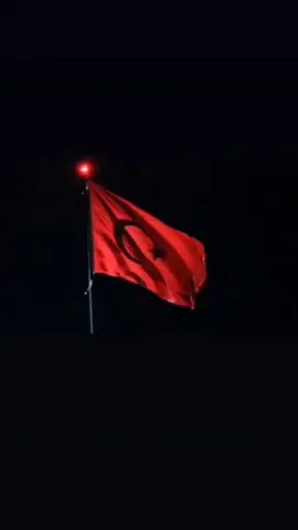 Kendi öz yurdumda ben miyim garip? Beni bir köşeye atan utansın Eğilmiyor diye, kurdu hor görüp İti el üstünde tutan utansın Namusumuza el uzatan varsa Böyle durur muyduk, dünyalar dursa Şu bayrak yerlerde çiğneniyorsa Ayağa kalkmayan vatan utansın Namusumuza el uzatan varsa Böyle durur muyduk, dünyalar dursa Şu bayrak yerlerde çiğneniyorsa Ayağa kalkmayan vatan utansın Bu devri yıkmayan vatan utansın #türk #türkiye #albayrak #bozkurt #asena #türkçü #turancı #ittihatveterakki #ittihatçılık #asker #polis #ülkücü #türkaskeri #jöh #pöh 
