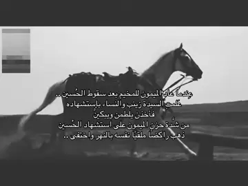 #الميمون #الحسين_ثورة_خالده #الطف #أهل_البيت_عليهم_السلام #واقعة_الطف #محرم #ابد_والله_يازهراء_ماننسى_حسيناه 