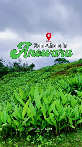 Somewhere in Anowara 🍃#creatorsearchinsights #unfrezzmyaccount #fypシ #fyp #foryou #foryoupage #capturedbysadim #trending #vairal #ctgtiktok #bdtiktokofficial #anowara #anowara_🏠 #আনোয়ারা💞🥀💞🥀 #আনোয়ারা #আনোয়ারা_চট্টগ্রাম #kepz 