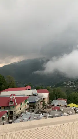 Murree Wrapped in Clouds Today – A Dreamy Escape  29-6-2025🌫️🌧️ #Murree #ExplorePakistan #ScenicViews #HillStationsPakistan #fyp #foryou #Travel #murreehills #NatureLovers #BeautifulPakistan #Nature #TravelVlog #murreevibes #TourismPakistan #traveltiktok #murreelive  
