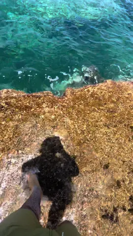 #حركة_إكسبلور_لايك❤_كومنت #fypシ゚viral🖤tiktok #حركة_إكسبلور #fypシ゚ 🩵