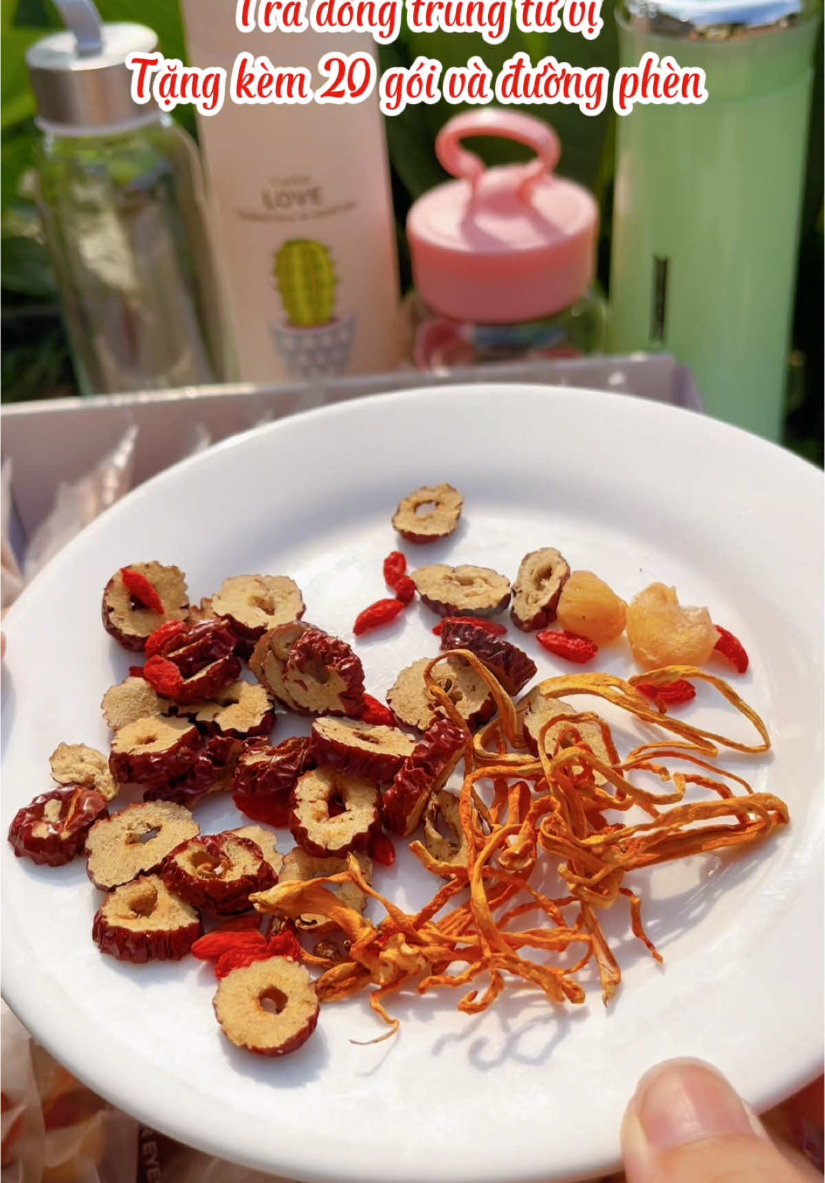 Trà đông trùng tứ vị#tiemtrangon88 #tiemtrangon #tradongtrungtuvi  @Tiệm Trà Ngon  @Tiệm Trà Ngon 