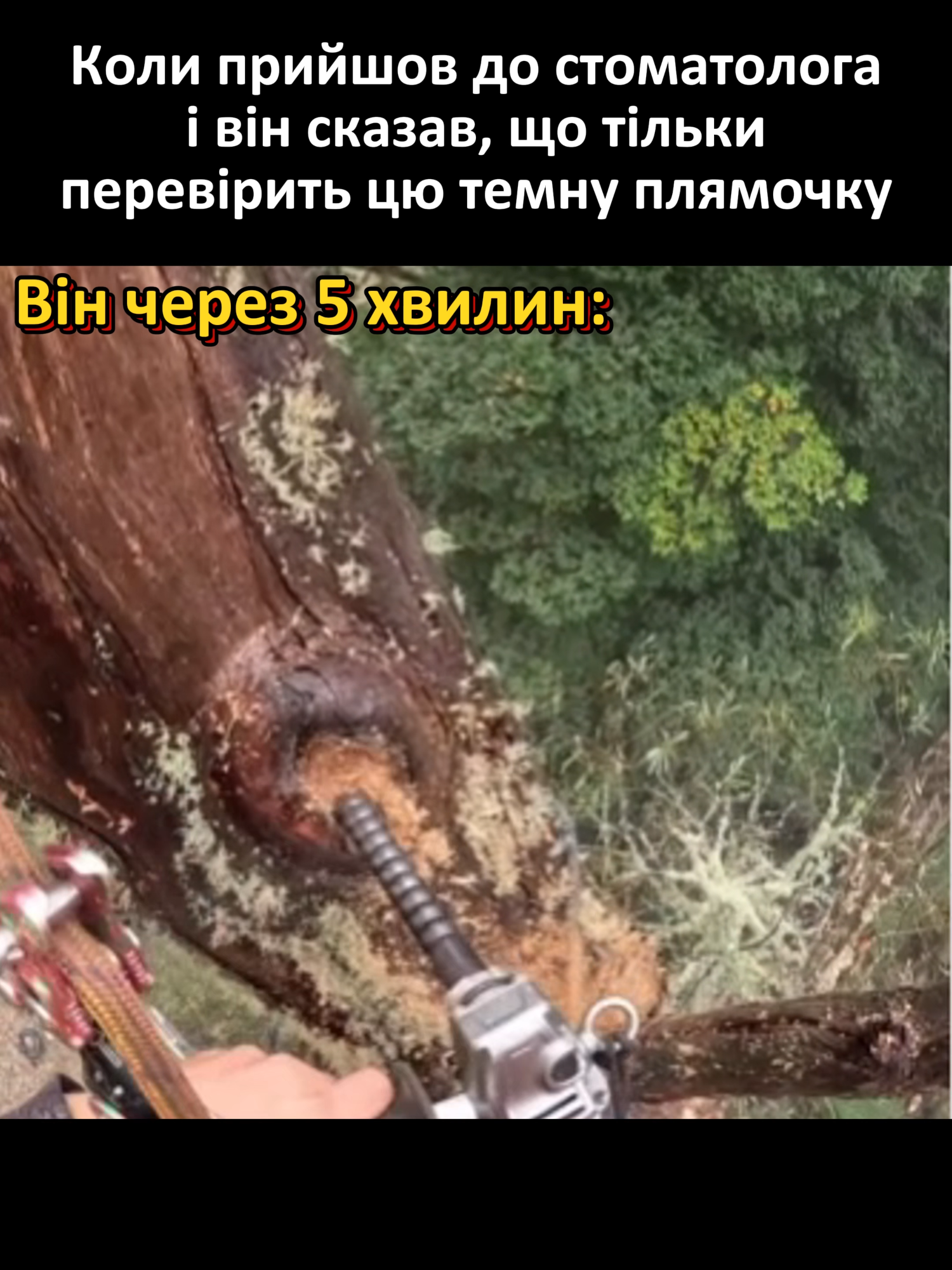 У вас прекрасні зуби!#життя #гумор #мем #україна #рек #топ #рекомендації #українськийтікток #украина🇺🇦 #гуморукраїнською #момент #fyp #україна🇺🇦👍 #тренд #стоматолог #зуби