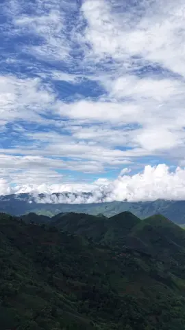 Các bạn có nhìn thấy cảnh đẹp ở ngọn núi xa kia không. Tôi muốn đi đến đó ngắm nhìn nhiều cảnh núi rừng hơn 🌳
