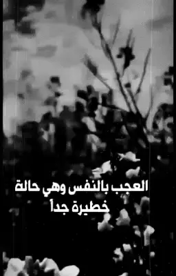 #فلاشة #توصيات_القائد #حليف_القائد #اكسبلورexplore 
