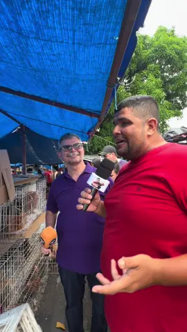 Feira da parangaba domingão  #portaldocearense #coisasdocearense #feira #pets #pinscherbrasil 