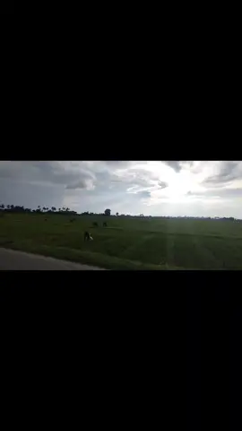 এই শহর আমাকে ভুলে যেতে পারে কিন্তু এই