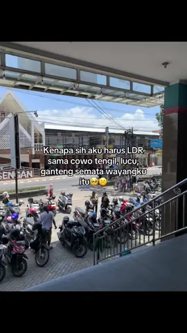 #ldr #ldrstory #pasanganldr 