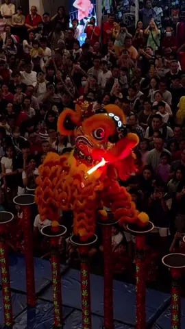 🇲🇾 2025 Anggun City Rawang  《舞狮嘉年华》 雪州万挠玄龙体育会 Xuan Long Dragon And Lion Dance Rawang Selangor Performance 金箍棒 golden cudgel 美猴王 齐天大圣🐒Monkey King 老夫子狮🧡💛 威武五家 #马来西亚 #malaysia #malaysiatiktok #liondance #mualan #tariansinga #barongsai #醒獅 #醒狮 #舞狮 #liondancer #liondanceperformance #liondancecompetition #liondancelife #高桩 #高桩舞狮 #高桩舞狮🦁 #高桩舞狮表演 #舞狮生活 #舞狮比赛 #舞狮表演 #舞狮运动 #liondancemalaysia #liondance2025 #múalan #múalan2025 #lansurong #lansurong2025 #liondancing   #liondancedrum #liondancedruming  #barongsaitiktok #barongsai2025 #传统 #传统文化 #traditional  #台上一分钟台下十年功 #respect #雪州萬撓玄龍體育會 #雪州万挠玄龙体育会 #雪州萬撓玄龍文化協會 #xuanlong #xuanlongliondance #xuanlongmalaysia #xuanlongrawang #玄龙 #玄龙体育会 #威武五家 #威武五家狮艺 #威武五家獅藝 #老夫子狮 #国际威武五家 