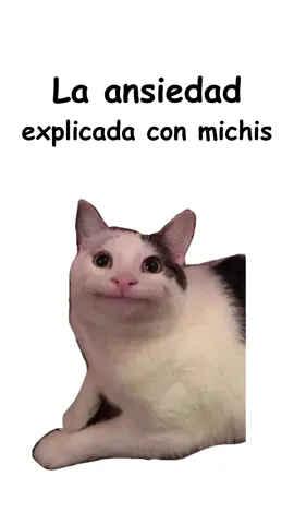 La ansiedad explicada con michis 