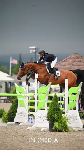 coolest horse ever🚀🚀 #ignoremyeq