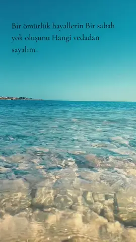 🕊🕊🕊🤍🕊🕊🕊