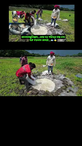 YT,,Bismillah Agro,,,প্রোফাইল গিয়ে ইউটিউব ক্লিক করে ফুল ভিডিওটি দেখে আসতে পারেন,,,আপনার বেকার জীবনে কাজে লাগবে ইনশাআল্লাহ ❤