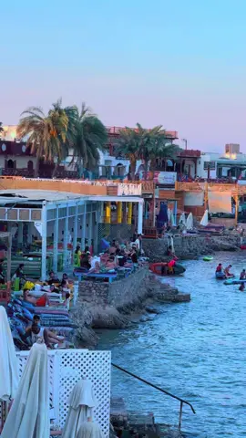 #دهب_جنوب_سيناء_بدو_مصر #dahab_south_sina_egy #مشاهير_تيك_توك #dahab_south_sina_egy #جبل_طويلات_رقص_دهب_جنوب_سيناء_بدو_مصر #اشعب_اصيني_ماله_حل😂😂 #foryo_fyp_sina 