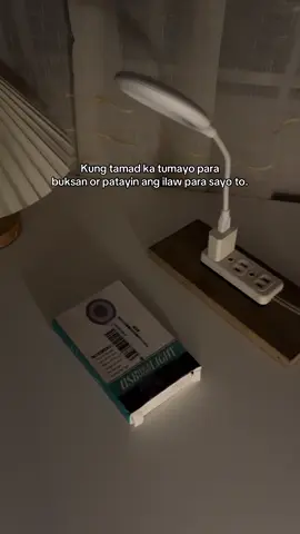 Portable LED light lamp with voice control #nightlamp #smartlight #techtok #smarthome 