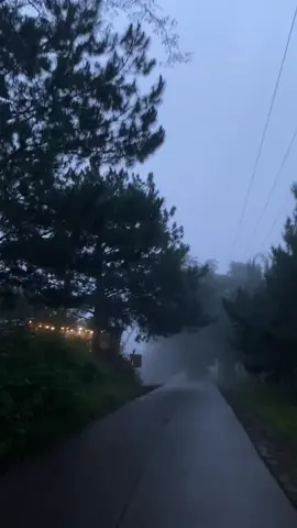 this weather and deep talks >> 🌨️ #asleepamongendives #ichikoaoba #coffee #fog #cuddleweather #rainyday 