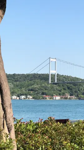 #TURKEY #❤️ #istanbul #🤍 