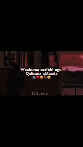 Lake saarrr❤️#somalitiktok #myworld #muqdisho #saaxiiptinimo👭🥰❤🌻 #ciyaalxamar 