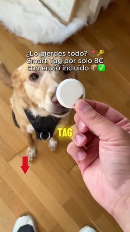 Vigila siempre a tu mascota 📍🗺️ #lifehacks #tiktokmehizocomprarlo #TikTokShop #tiktokmademebuyit #gps #ubicacion #tag 