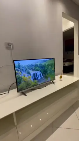 📺 SMART TV PHILCO 32” ANDROID TV 🆕 Modelo: PTV32G23AGSSBLH | LED | 32 polegadas Assista seus filmes, séries e vídeos favoritos com qualidade de imagem e som incríveis! ✅ Sistema Android TV ✅ Acesso direto à Netflix, YouTube, Prime Video e muito mais ✅ Google Assistente integrado ✅ Conexão Wi-Fi e Bluetooth ✅ Perfeita para qualquer ambiente da casa! 🎁 CUPOM DE DESCONTO LIBERADO 💬 Corre no nosso Telegram e WhatsApp pra garantir o seu! 📲 Link na bio! #SmartTV #Philco #Desconto #Promoção #AndroidTV #Ofertas #Tecnologia #CasaInteligente #cupomliberado