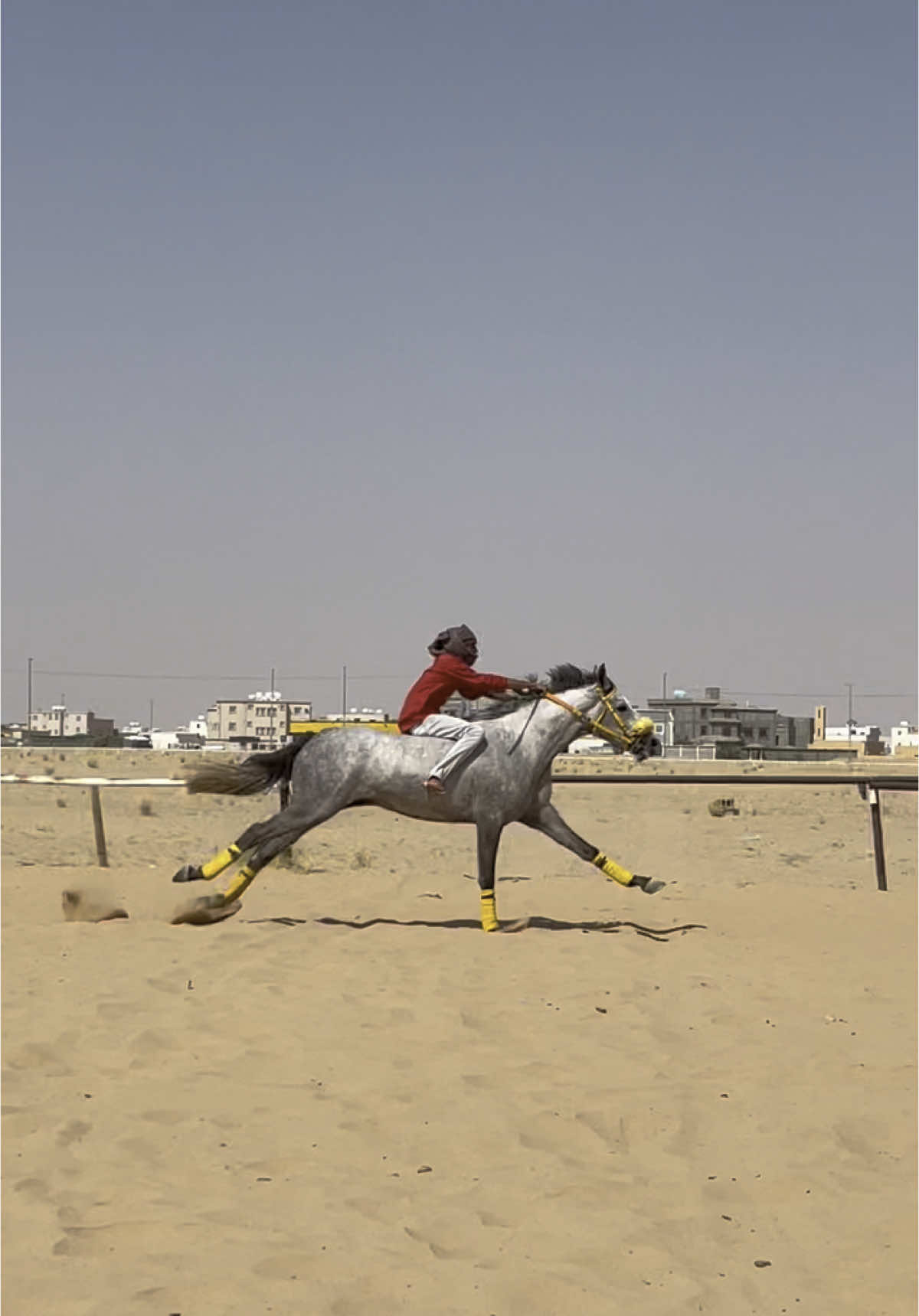 صداره✈️. #الخيل_العربي_الاصيل🐎 #الاحساء_الهفوف #نجران#تصلال #شرورا #سباقات#تناشيط#خيل _وخياله# تدريب_خيل #خيل_نجران #اكسبلور #خيل ريس 