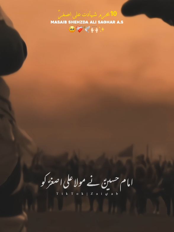 10Muharam Shahdat Ali Asghar a.s Masib😭 . . . . . . . . . . .                                                   #Muharam #shiastatus  #yaali #unfreezmyaccount  #aliwaly #aliunwaliulllah #yaali #fyp #islamic #Zilhajj #moulaali #karbala #imamhusain 