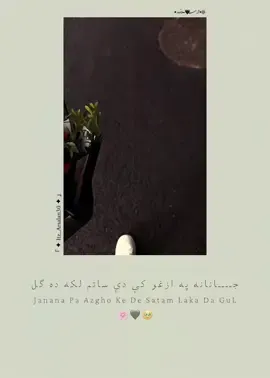 جانانه په ازغو کې دی ساتم لکه ده گل  🥹🌸🖇️🫀 #pashto  . . . . #itz_arsalan30  #pashtoghazal  #pashtopoetry  . . . . #foryou  #100k  #virel 