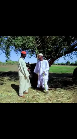 #كوميديا_سودانية #سودانيز_تيك_توك_مشاهير_السودان 