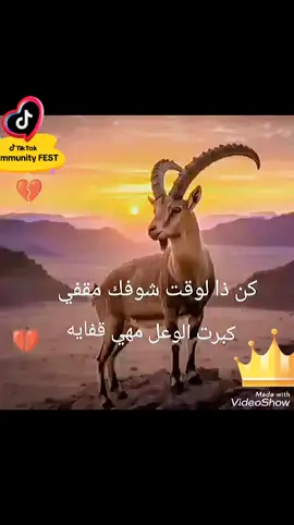 كن ذا الوقت شوفك مقفي كبرت الوعل مهي قفايه🧑🏻‍🦯❤️‍🩹❤️‍🩹❤️‍🩹 #مجرد________ذووووووق🎶🎵💞  #متابعه_ولايك_واكسبلور 