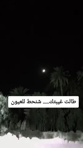 #بابل_الحله_الجمعيه_شباب_بنات_الحله 