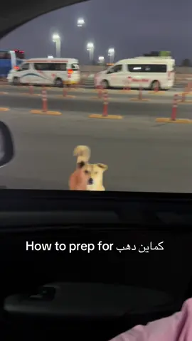 #dahab 