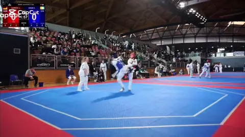 luxembourg open🥇🥇🥇#perte #fouryou #fyfyfyfyfyfyfyfyfyfyfyfyfyfyfyfyfyfy #fyp #foryouu #taewondo #taekwondofighter 