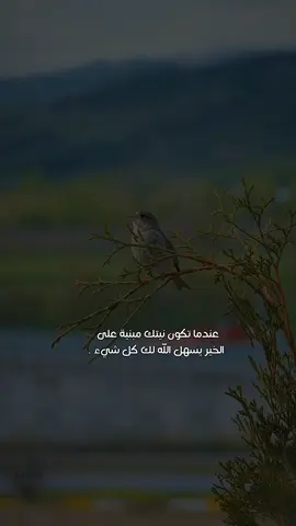 تابعوني على انستغرام diaa1.95  #تصميميي #تصميميـ #تصميمي_اقتباساتي #ستورياتي #استوريات_انستا #ستورياتانستا #اقتباسات📝 #اقتباسات_جميله #تصويري_احترافي_الاجواء👌🏻🕊😴 #تصويري_اكسبلور 