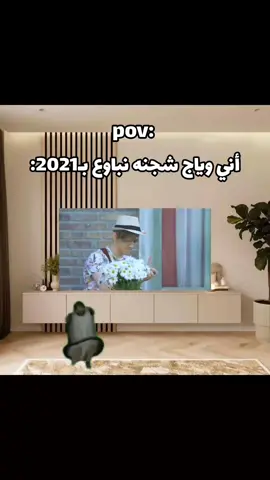 مو بلا😭😭😂؟ #نورمار #مشاهير_تيك_توك #شعب_الصيني_ماله_حل #شعب_الصيني_ماله_حل😂😂 #مالي_خلق_احط_هاشتاقات🧢 #ترندات_تيك_توك #مالي_خلق_احط_هاشتاقات #fyp #fyppppppppppppppppppppppp #fypシ #ياالله 