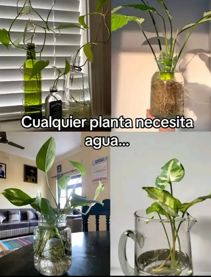 #tiktok #paratiiiiiiiiiiiiiiiiiiiiiiiiiiiiiii #fyp #viral #apoyo 