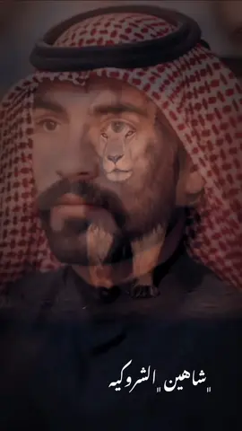 شاهين الشروگيه #شاهين_الشروگيه #عبدالحسين_الحاتمي @عبدالحسين الحاتمي #الناصره_الشامخه👑🦅 #اعادة_النشر🔃 #tiktok #اكسبلورexplore 