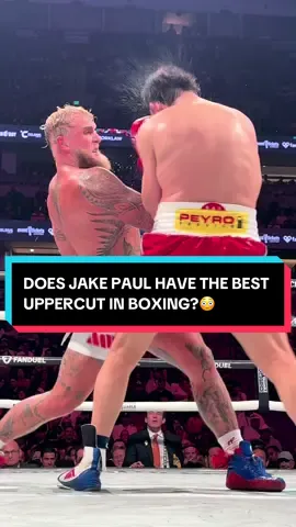 Jake Paul might have the best uppercut in boxing😳 #paulchavez