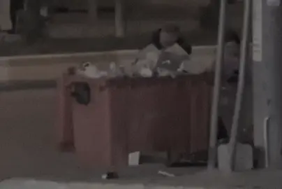 باوک♥️.