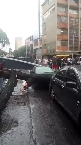 se acaba de caer en el recreo entrada city market