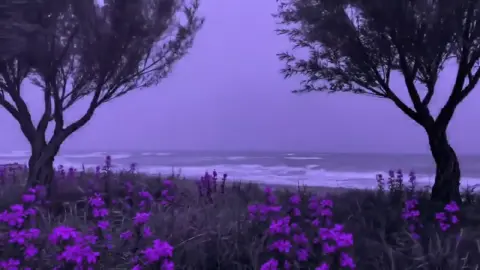 💜💜 #iris #darkbeach #pastelghost #xybca #fyp #parati #pmghxst #pastelghost♡ #lilacs #prism #landscape #dreamrave #nightvibes #nightcore #silhouette #embrace #foryoupage #real #relatable #💜 