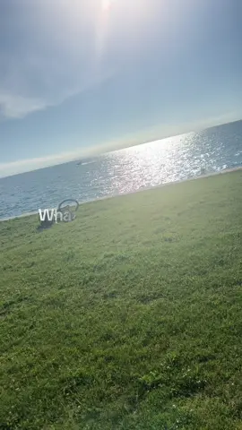 Like this was so beautiful to see  #fypシ #chicagoskyline #kededragoods #postthecontent 