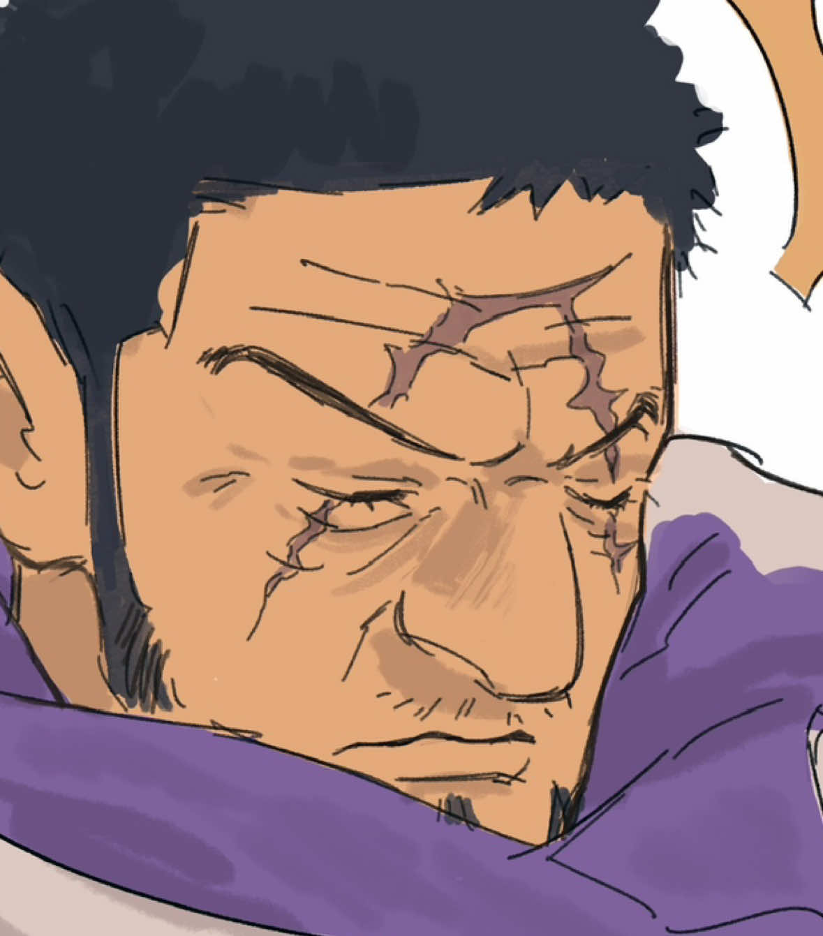 i love fujitora the only good marine fr  #art #digitalart #onepiece #zoro #roronoazoro #fujitora #dressrosa #onepiecefanart #onepieceedit #anime 