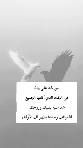 #اكسبلور 